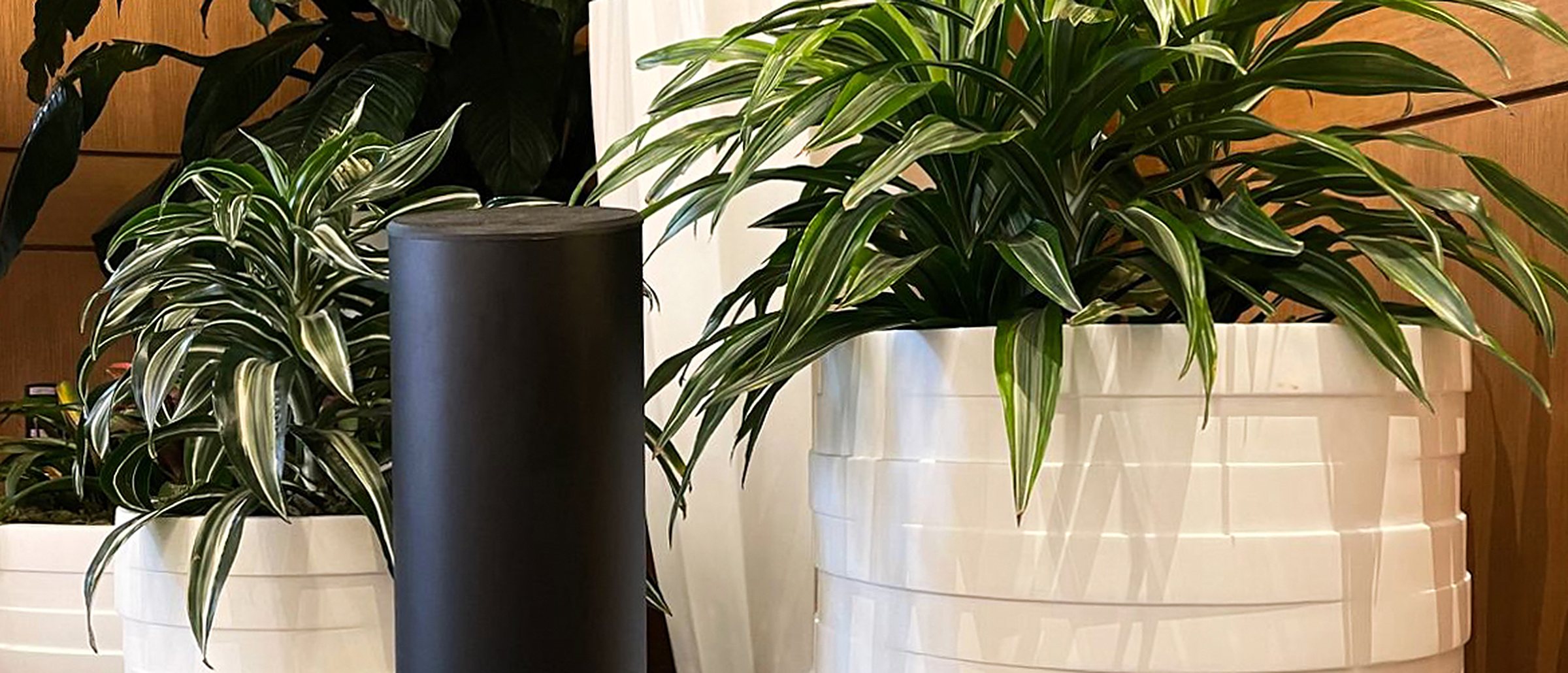 TOWER AirQ als schwarze Duftsäule zwischen weissen Pflanzkübeln in einer Lobby